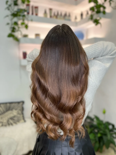 Foilage Sun-Kissed Look- No Toner - Long Hair